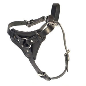 Leather Tracking Harness