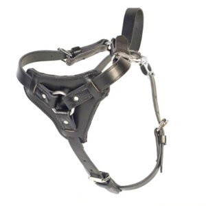 Leather Tracking Harness with Quick Connect