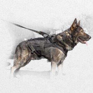 Tactical Vest - Recon
